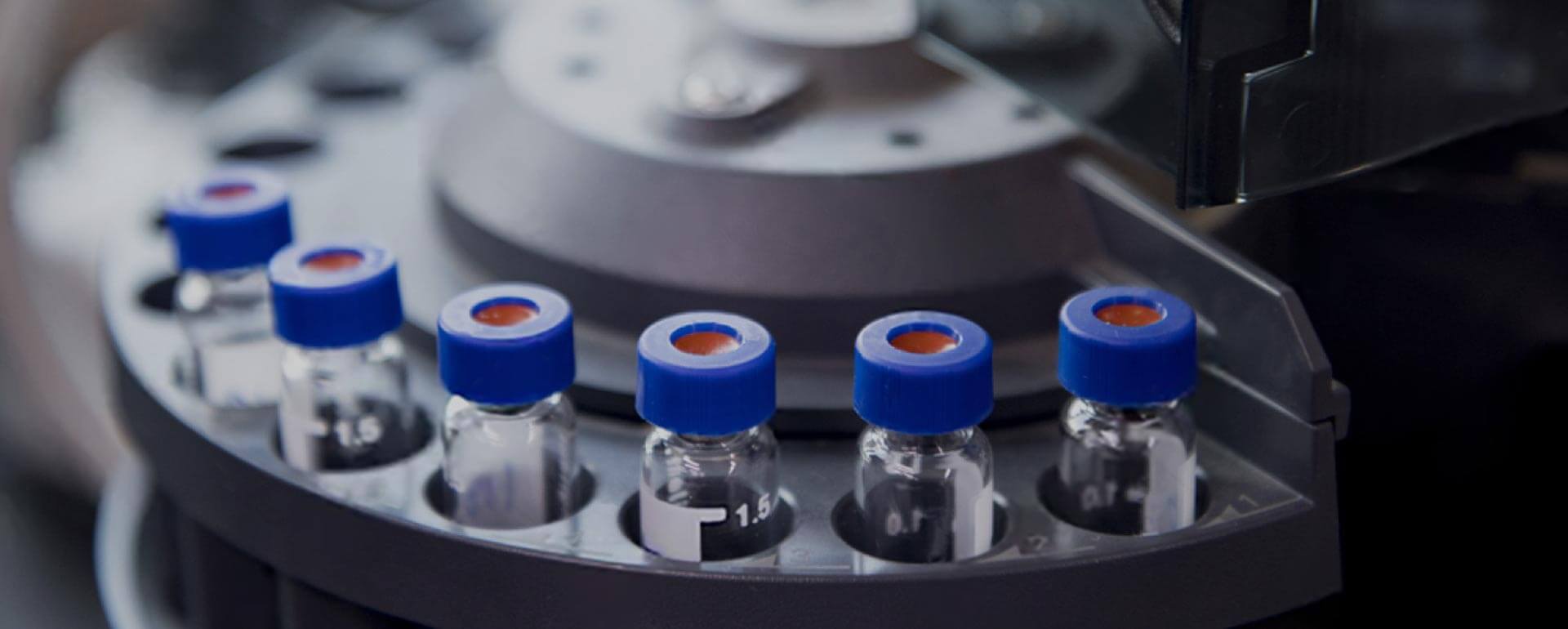 Short-Chain Fatty Acids Analysis Services