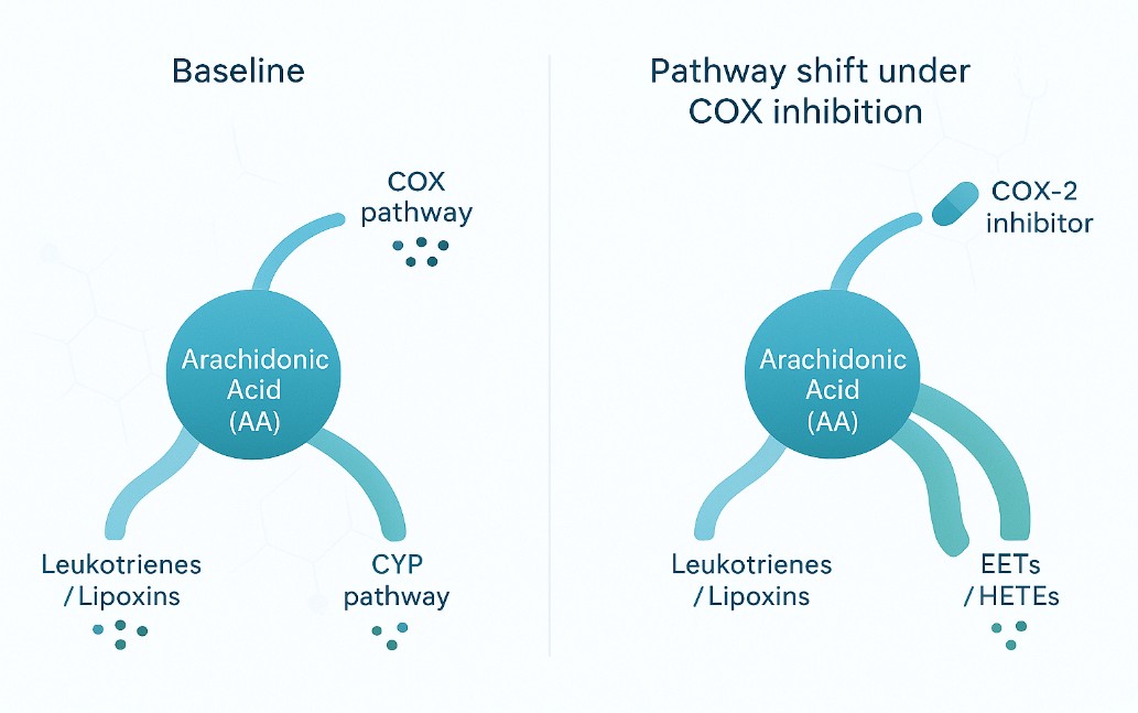 Advanced Arachidonic Acid Lipidomics and Multi-Omics Strategies for Mechanism and Preclinical Research