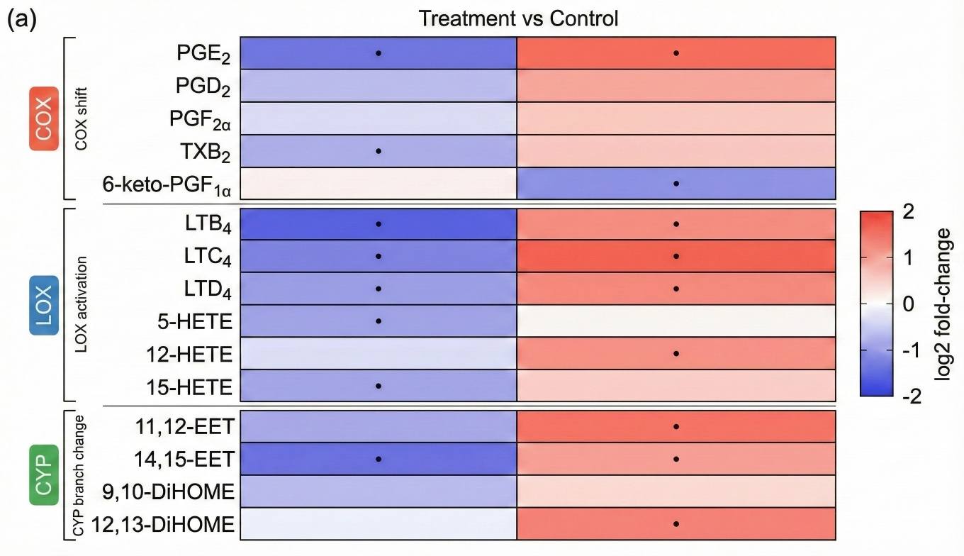 Eicosanoid heatmap grouped by COX, LOX, and CYP pathways.