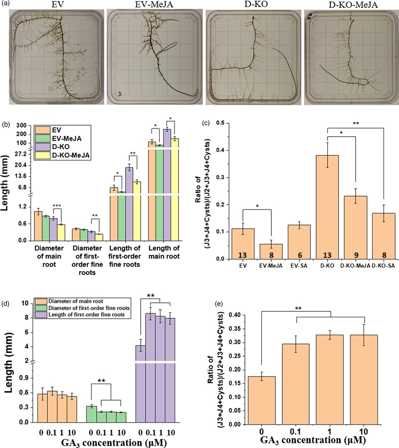 Bar graphs showing targeted defense response oxylipin analysis and hormone changes in nematode infected roots.