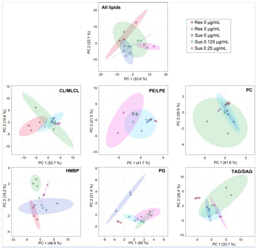 PCA plot from a published lipidomics study showing membrane lipid differences in susceptible and resistant Acinetobacter baumannii strains.