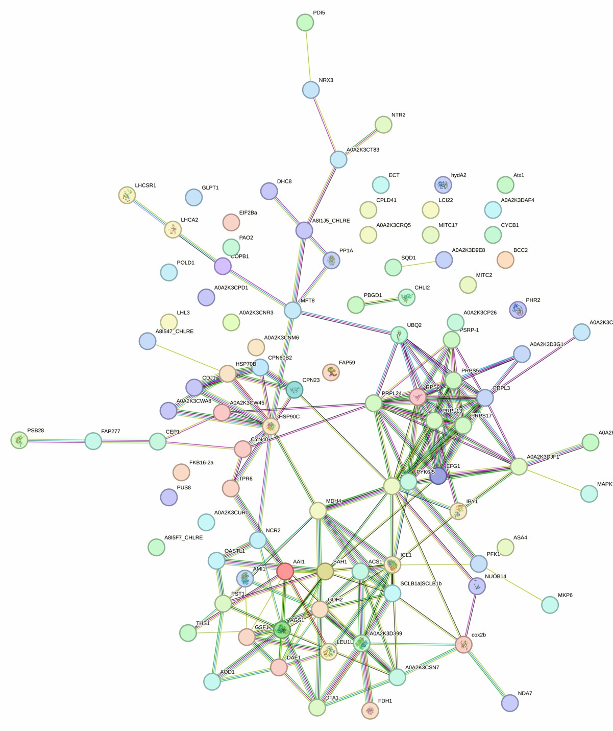 STRING network figure showing scale-up stress signatures in 1000 L open raceway ponds for longitudinal bioprocess monitoring.