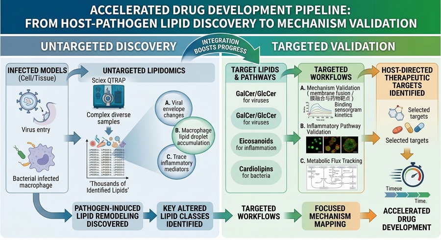 Diagram of the drug development pipeline showing the shift from host-pathogen lipid discovery to targeted mechanism validation.