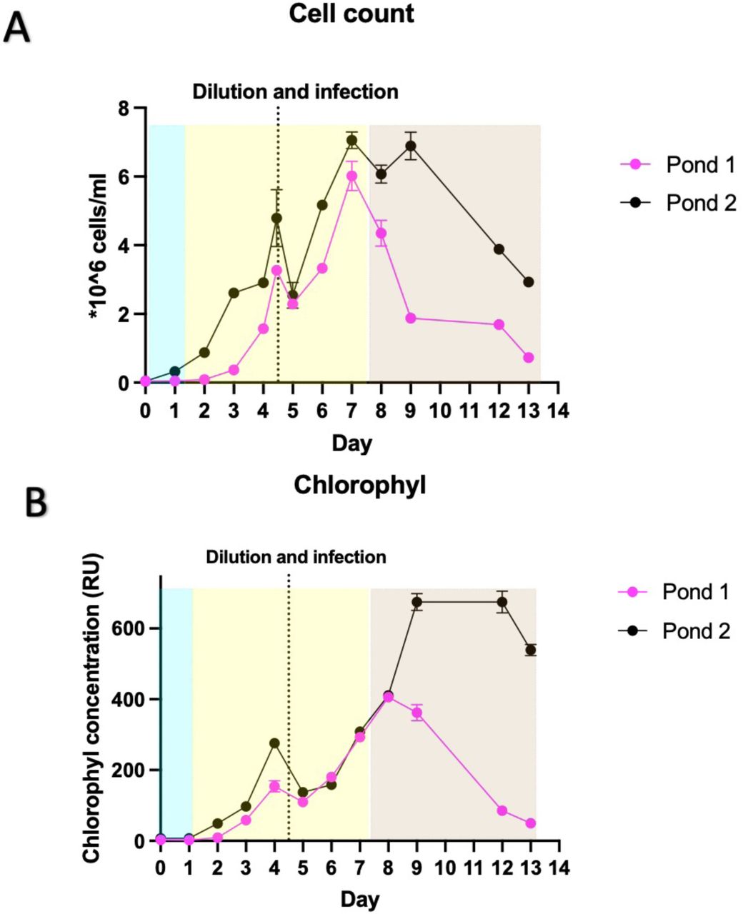 Growth curve figure showing cell count, chlorophyll, and biomass trends during outdoor microalgal scale-up.