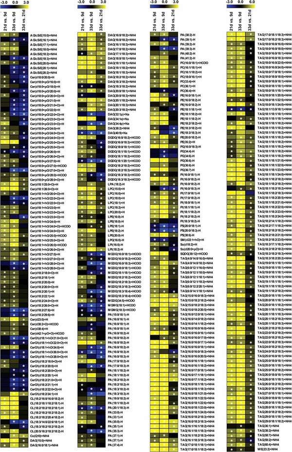 Heatmap showing stage-specific lipid changes in developing sesame seeds for seed oil biosynthesis and crop oil quality lipidomics.