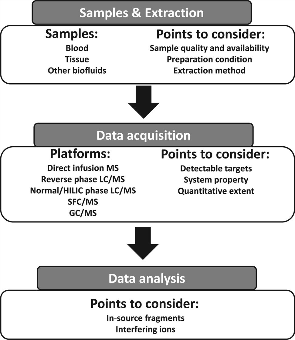 Schematic workflow and points to consider in ADR lipidomics