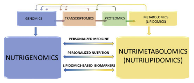 Applications of Lipidomics in Nutrition and Health