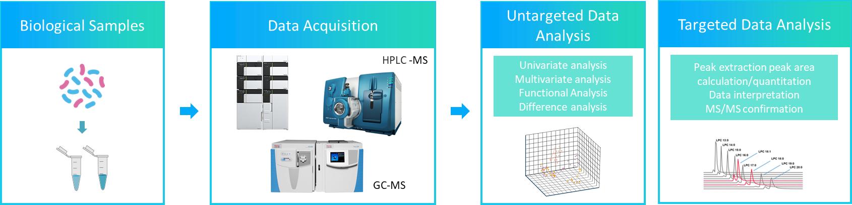 Fig1. The workflow of bacterial lipidomics service.