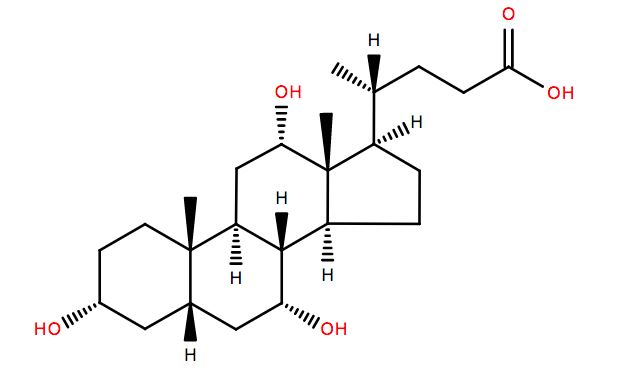 Bile Acids Targeted Lipidomics 