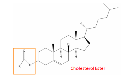Cholesterol Ester Targeted Lipidomics