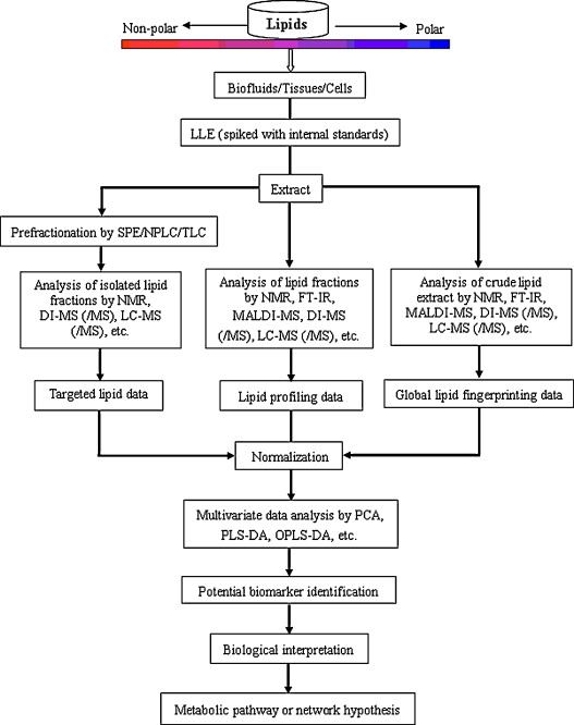 Different approaches in lipid research for biomarker discovery