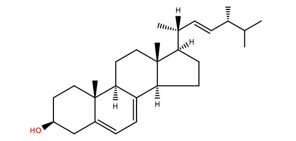 Ergosterol Targeted Lipidomics