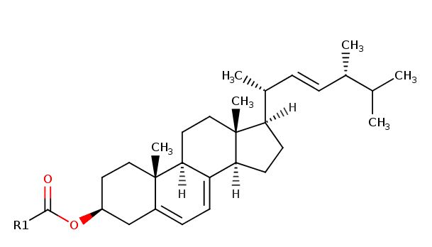 Ergosteryl Esters Targeted Lipidomics