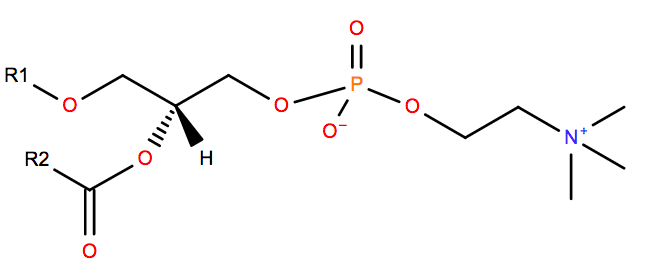 Ether-linked Phosphatidylcholine