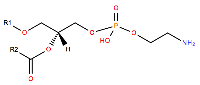 Ether-linked Phosphatidylethanolamine