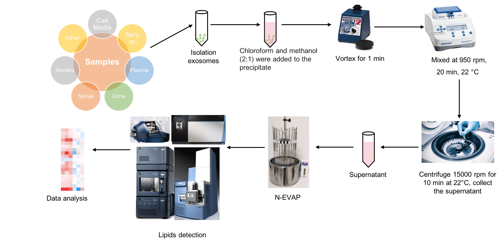 The workflow of exosomes untargeted lipidomics.