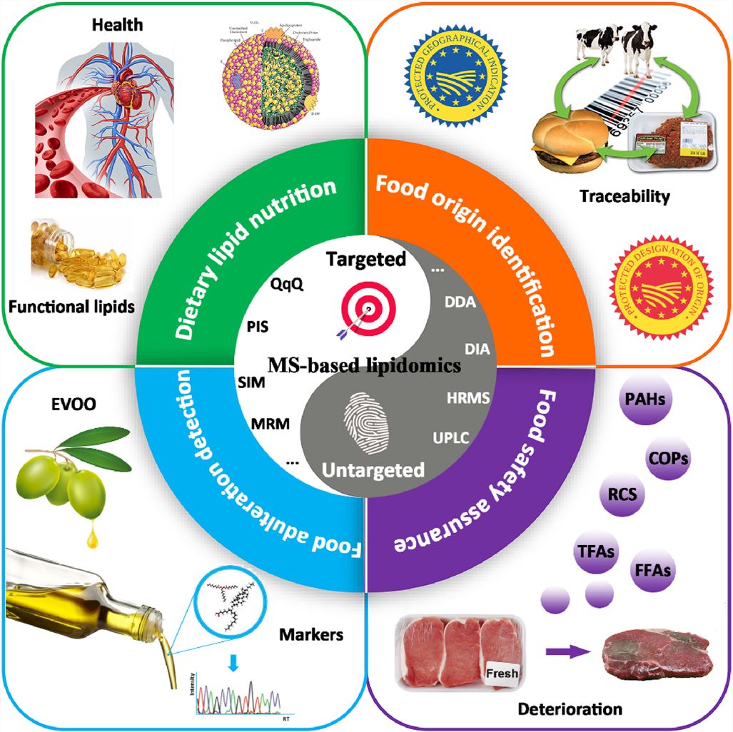 Lipidomics as a powerful platform in foodomics research