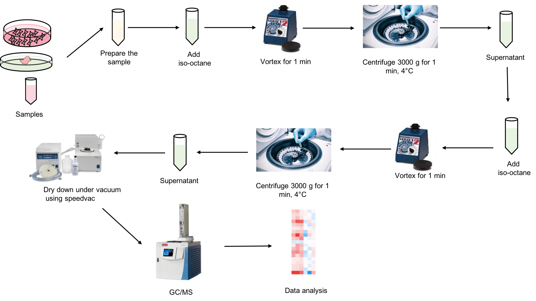  The workflow of free fatty acids analysis service.