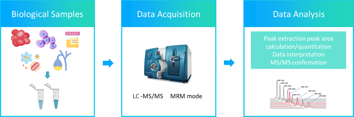 The workflow of hydroxycholesterols analysis service