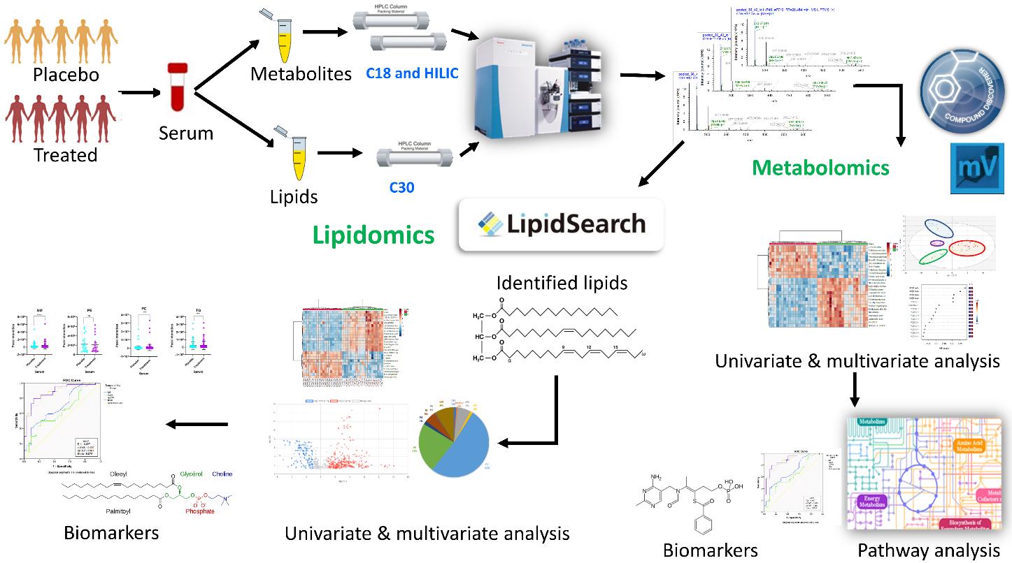 Schematic diagram of the parallel metabolomic and lipidomic workflows (Bhawal et al., 2021)