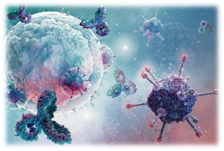 Lipidomics for Immune Disease Research