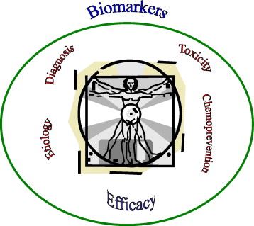 Biomarker impacts all aspects of drug development and modern medicine