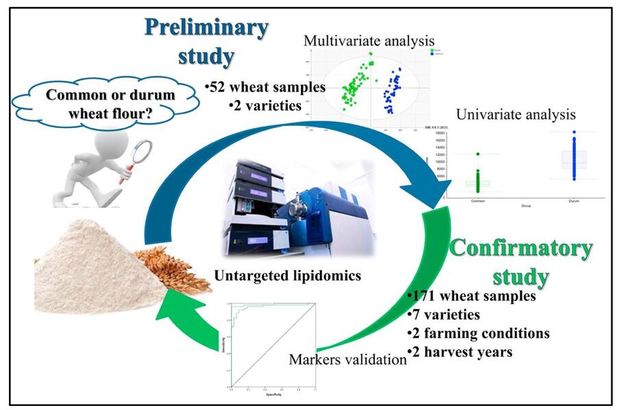 Untargeted lipidomics reveals differences in the  lipid pattern among durum and common wheat