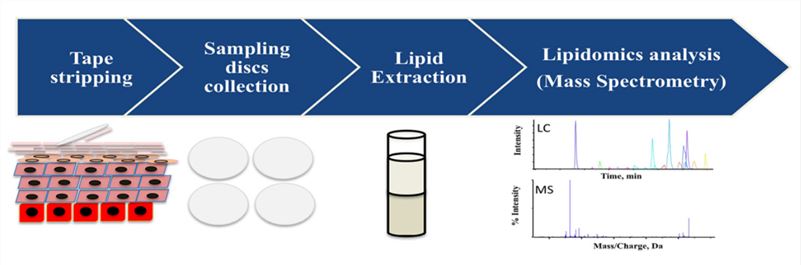 A typical lipidomics analysis workflow on a human SC sample