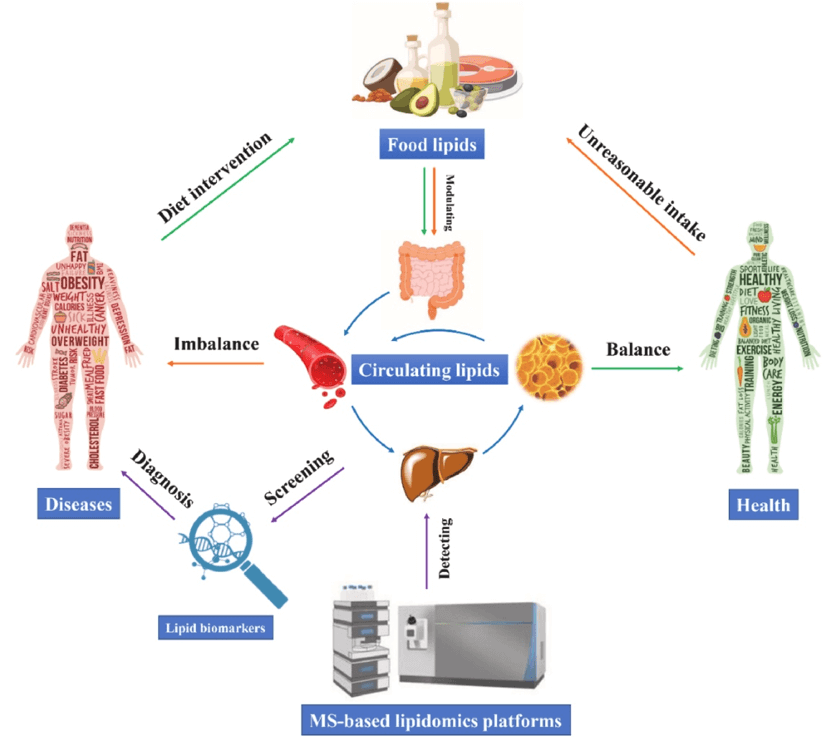 The role of lipidomics in revealing the relationships between dietary lipids and health status