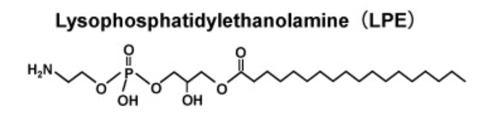 Lysophosphatidylethanolamine