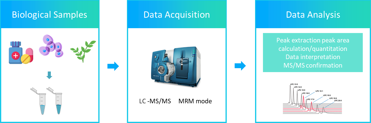 The workflow of lysophosphatidylethanolamine analysis service