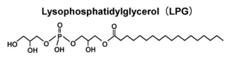Lysophosphatidylglycerol
