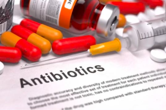 Antibiotic Resistance Research