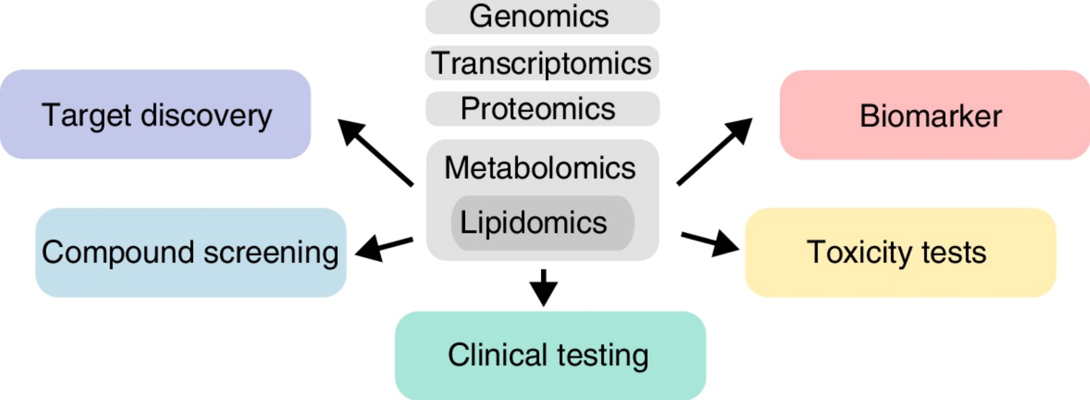 Lipidomics in drug development