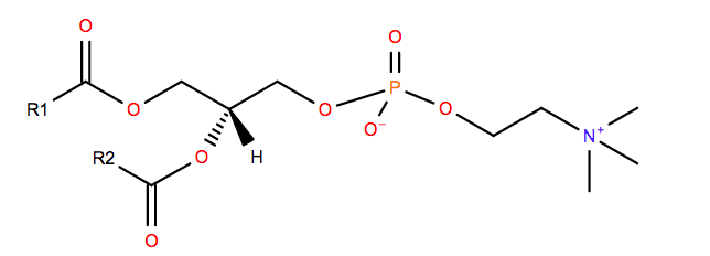 Phosphatidylcholine