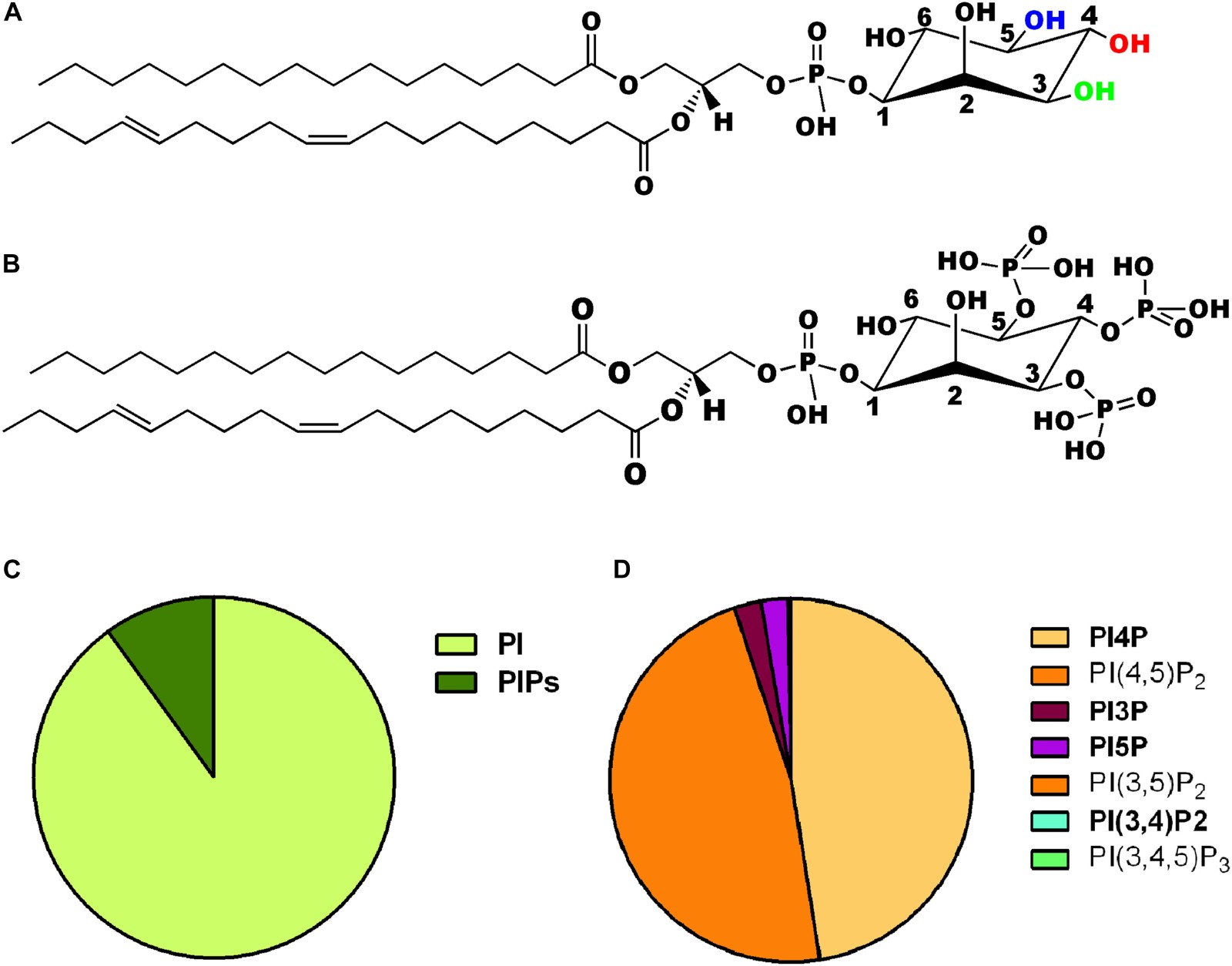 Chemical structure and pie chart representing the relative abundance of phosphoinositides