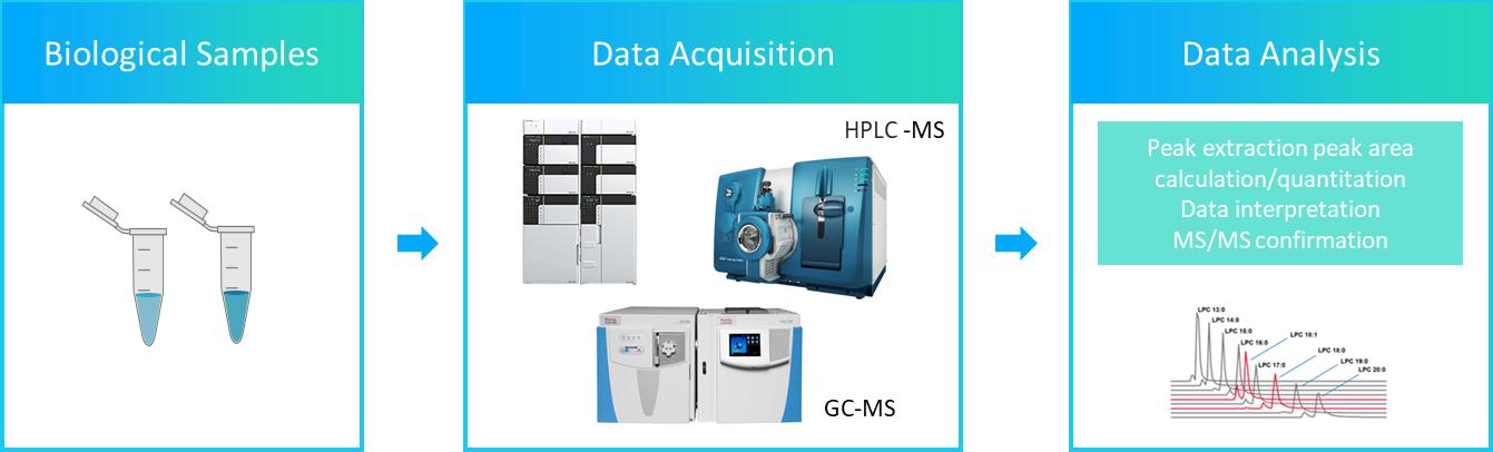 Fig 1. The workflow of phytosterolss analysis service.