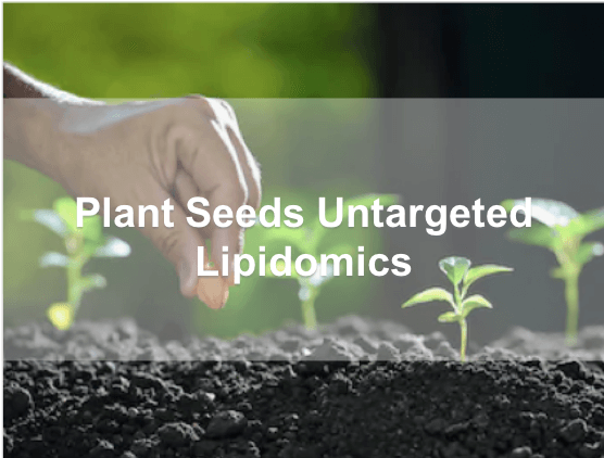 Plant Seeds Untargeted Lipidomics