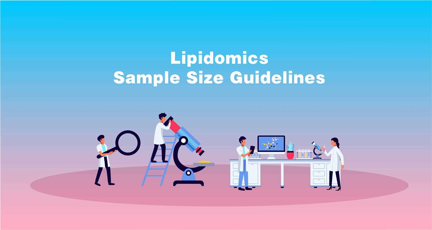 Sample Size Guidelines for Lipidomics
