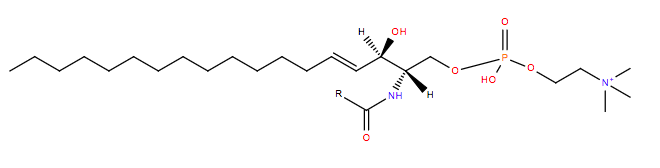 Sphingomyelins Targeted Lipidomics