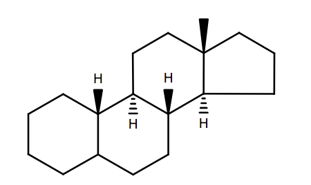 Steroids Targeted Lipidomics