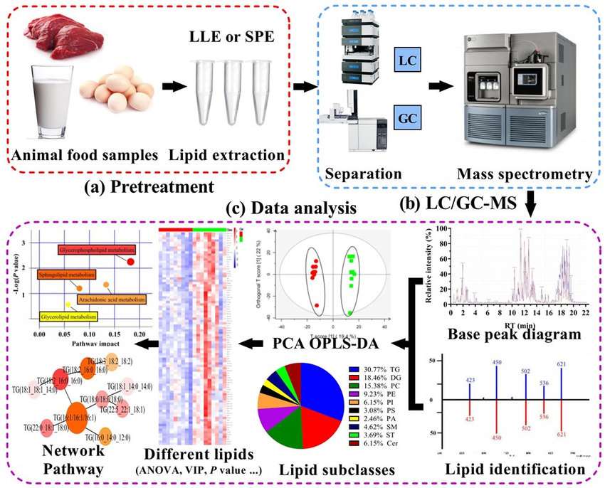The Role of Mass Spectrometry and Chromatography in Lipidomics