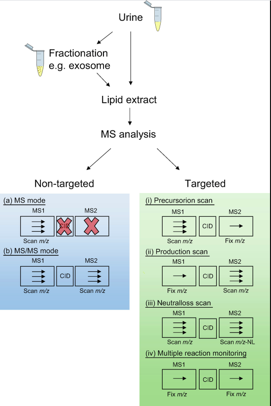 General workflow of urinary lipidomics using MS 