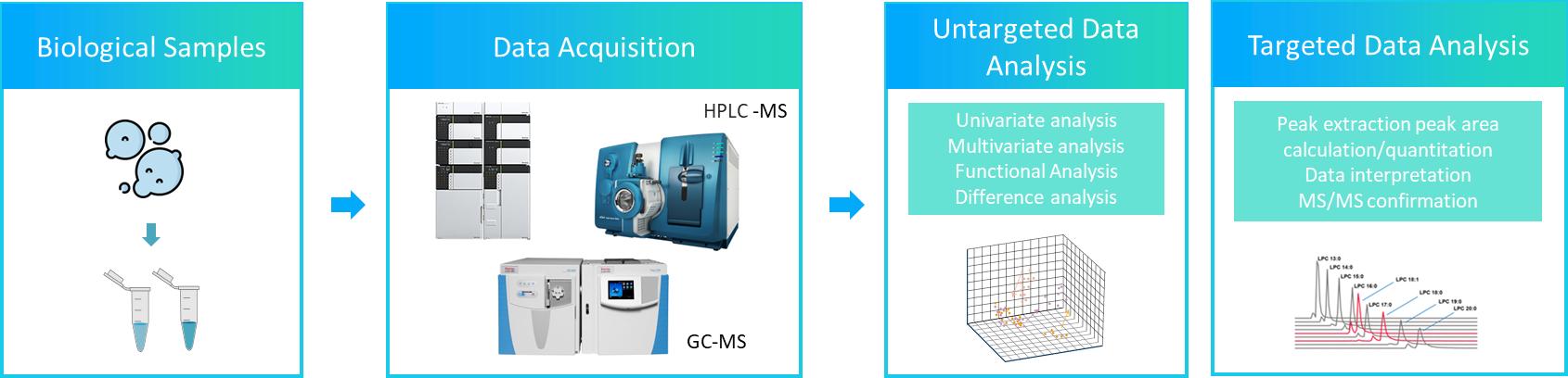 Fig1. The workflow of yeast lipidomics service.