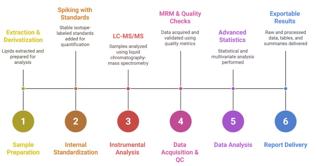 Workflow for Acylcarnitine Analysis