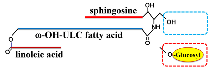 The structure of CerEOS