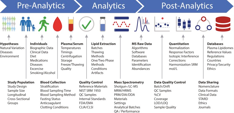 Human plasma lipidomics workflow