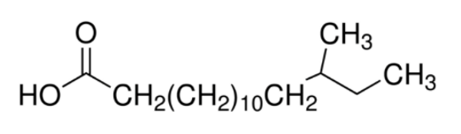 Branched Chain Fatty Acids Analysis Service