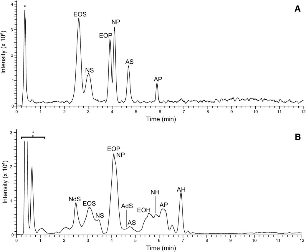 NPLC-APCI-MS total ion current of (A) equimolar (250 fmol/CER) synthetic human CER mixture containing CER [EOS], [NS], [EOP], [NP], [AS], and [AP]; (B) crude lipid extract of human SC