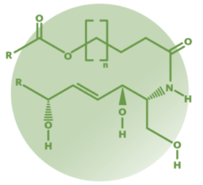 cereoh Analysis Service 